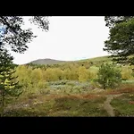 With Everything, 150m From Lift * Bjorli