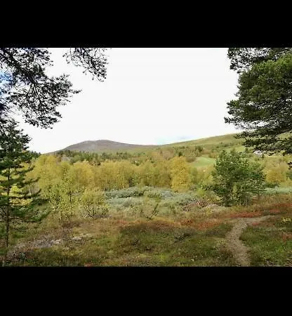 With Everything, 150m From Lift * Bjorli