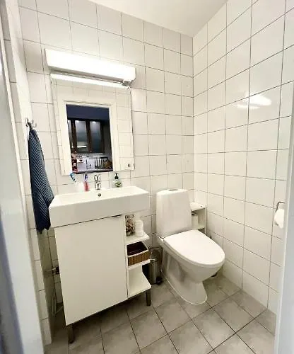 Apartment With Everything, 150m From Lift *