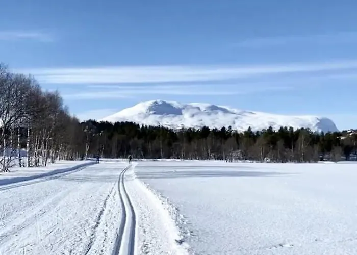 Apartment With Everything, 150m From Lift