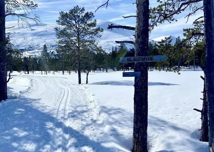 With Everything, 150m From Lift *