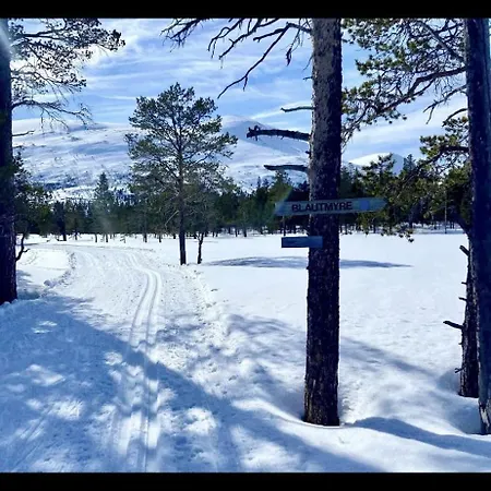 With Everything, 150m From Lift *